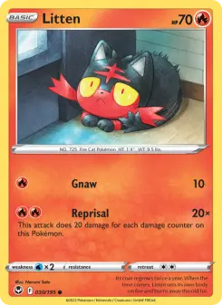 Litten 30