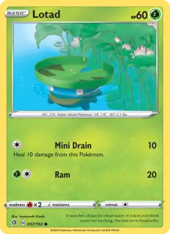Lotad 7
