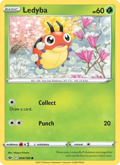 Ledyba 4