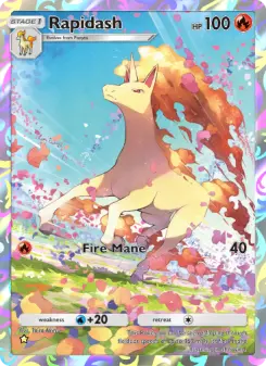 Rapidash 231