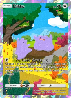 Ditto 247