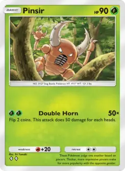 Pinsir 26