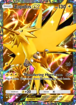 Zapdos ex 260