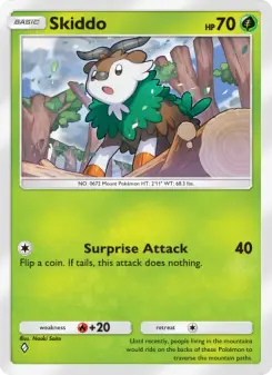 Skiddo 31