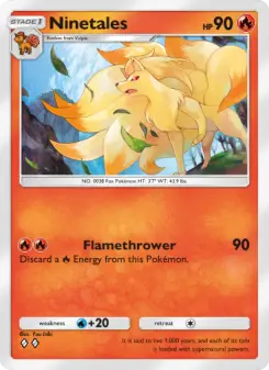 Ninetales 038