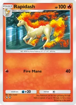 Rapidash 43