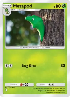 Metapod 6