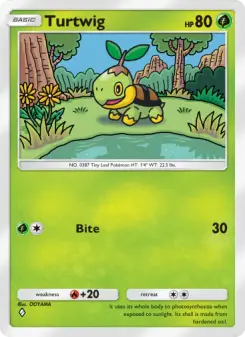 Turtwig 010
