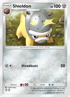 Shieldon 113