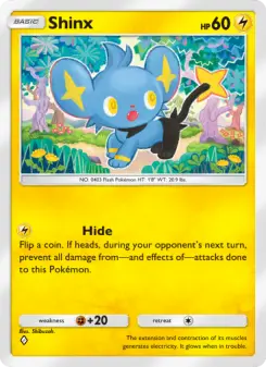 Shinx 058