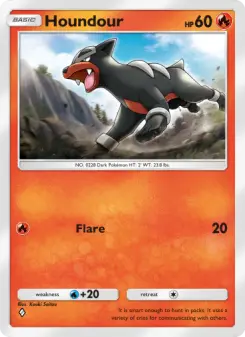 Houndour 11