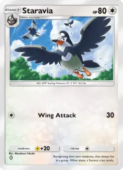 Staravia 67