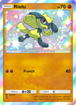 Riolu 104