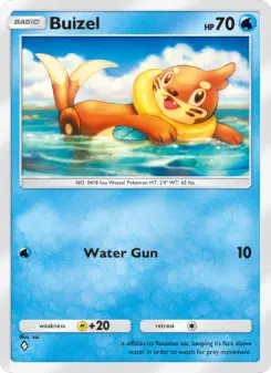 Buizel 16
