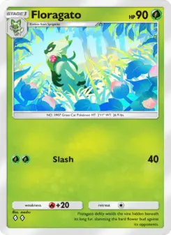 Floragato 6