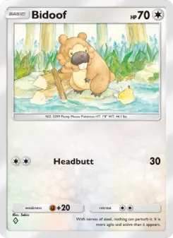 Bidoof 64