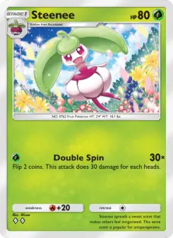 Steenee 19