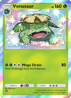 Venusaur 212