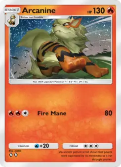 Arcanine 26