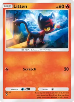 Litten 31