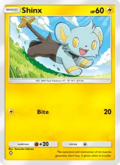 Shinx 13
