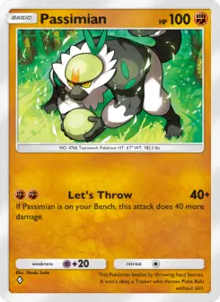 Passimian 34