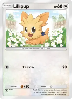 Lillipup 54