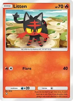Litten 11