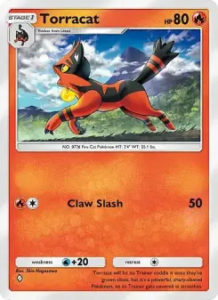 Torracat 12