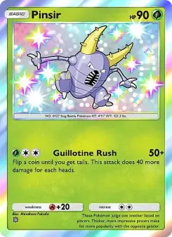 Pinsir 93
