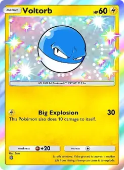 Voltorb 95