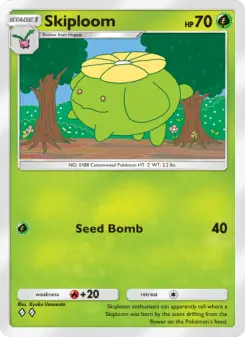 Skiploom 14