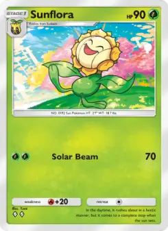 Sunflora 17