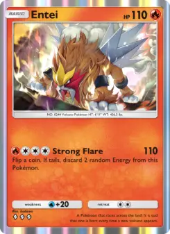 Entei 33