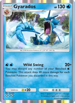 Gyarados 45