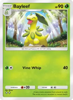 Bayleef 9