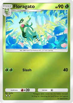 Floragato 52