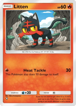 Litten 78