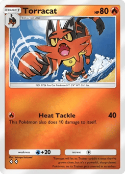 Torracat 81