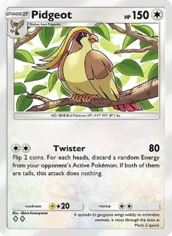 Pidgeot 182