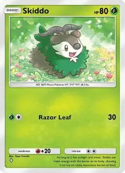 Skiddo 21