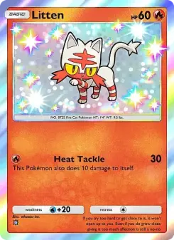Litten 293