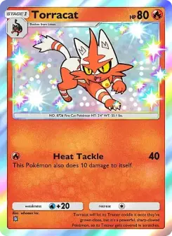 Torracat 294