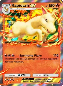 Rapidash ex 31