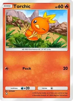 Torchic 33