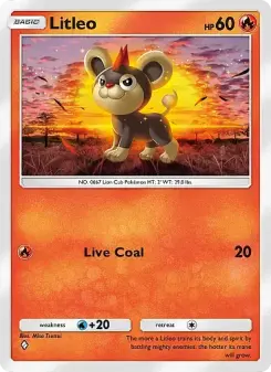 Litleo 45