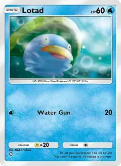Lotad 53