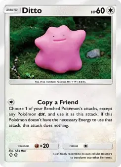 Ditto 55