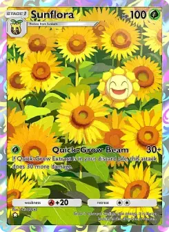 Sunflora 71