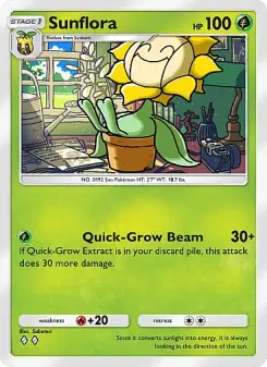 Sunflora 8